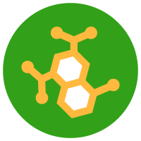 Biochemische processen - NowVitamins