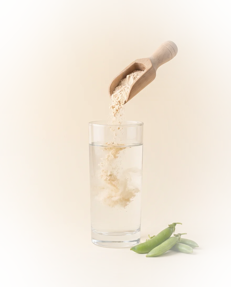 Erwteneiwitpoeder wordt in een glas water geschept